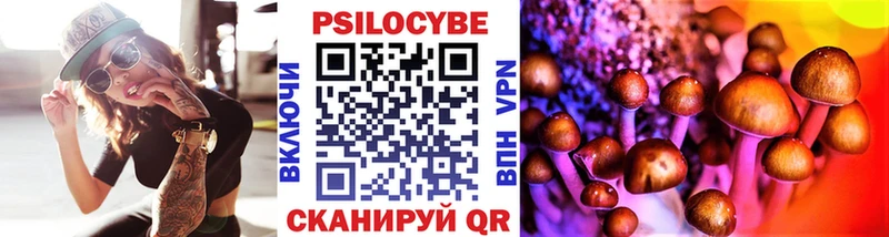 Псилоцибиновые грибы Cubensis  Усолье 